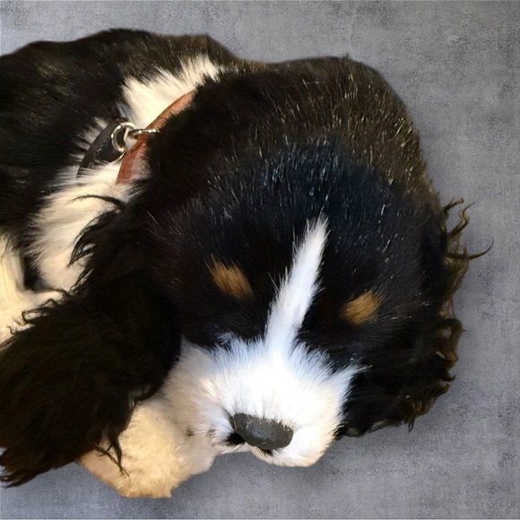 Original Cocker Spaniel Perfect Petzzz - NEW IN BOX - Picture 12 of 13